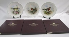 Royal Albert Woodland Birds