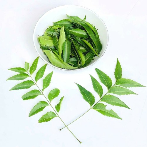 Neem leaves dried natural - neem,