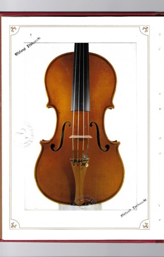 Great italian violin - italian,