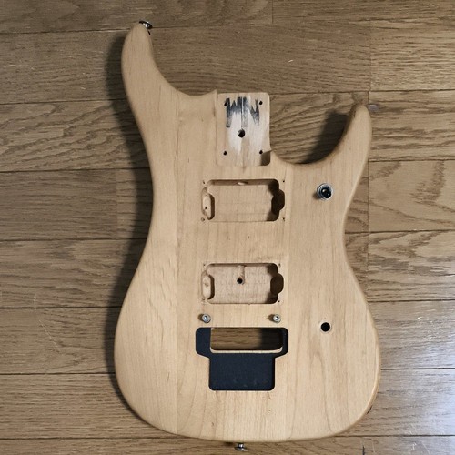 Washburn nuno bettencourt - washburn,