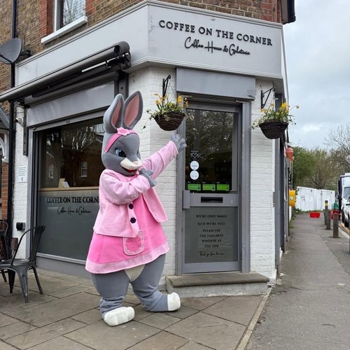 Easter bunny mascot costume - easter,