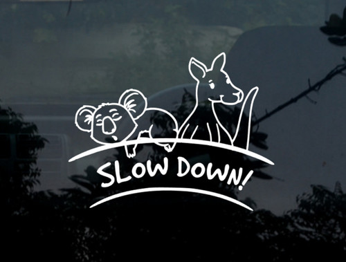 Slow down native wildlife car - native,