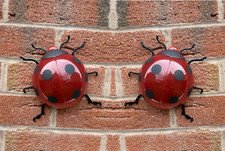 2 Large Garden Ladybirds