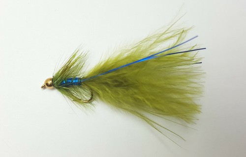 Gold head blue - gold,