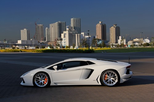Car lamborghini avent white - avent,