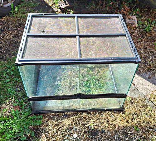 Exo terra glass - exo,