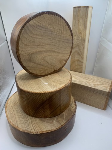 Elm wood turning - wood, blank
