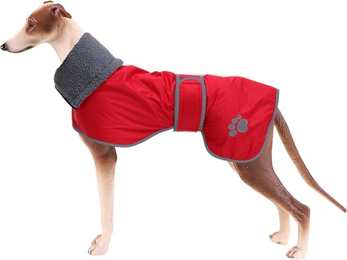 Geyecete dog winter coat - geyecete,