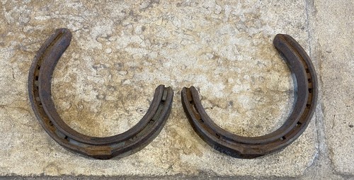 New real horse - 2,