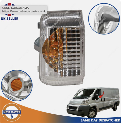 Wing mirror indicator lens - wing,