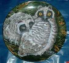 Wedgwood Collectors Plate LONG EARED OWL CHICKS - THE BABY OWLS