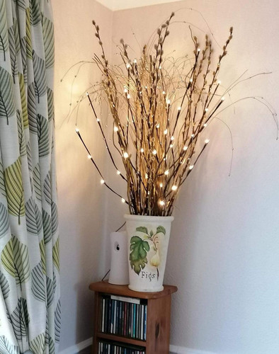 Pack 76cm twig - 3,