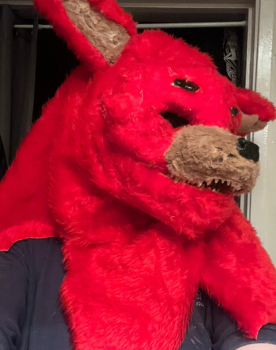 Furry canine fursuit head - fursuit, and