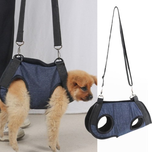 With pockets carry dog - pockets,