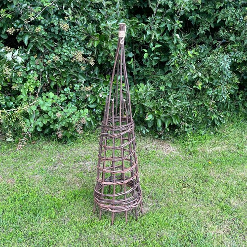 Willow garden obelisk - willow,
