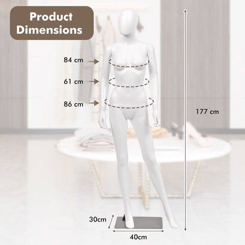 Female mannequin torso full - female,