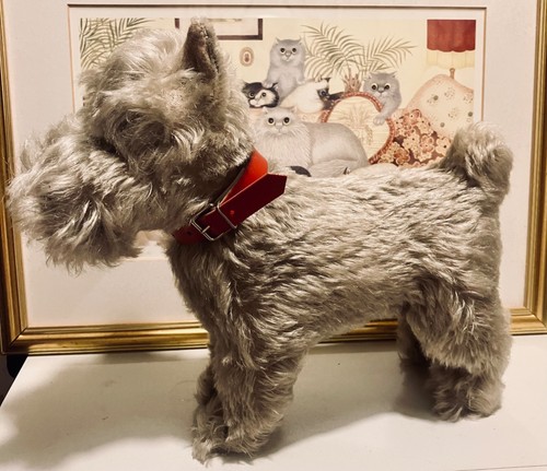 Cute vintage steiff - vintage,