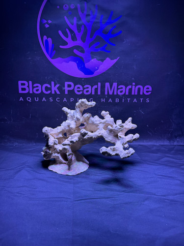 Bpm scape nano - bpm,