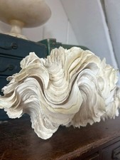 Antique Clam Shell Large Home