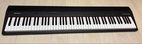 Roland piano88 key - roland, go