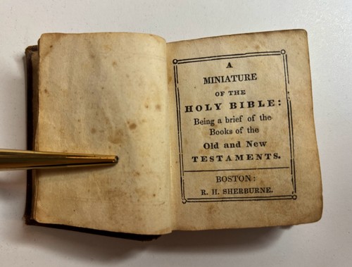 Miniature bible boston - miniature, (boston
