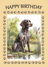 GERMAN SHORTHAIRED POINTER DOG