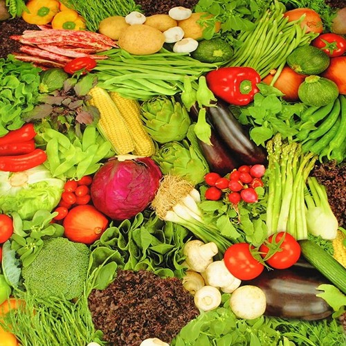 Vegetables pvc vinyl - vegetables, wipe