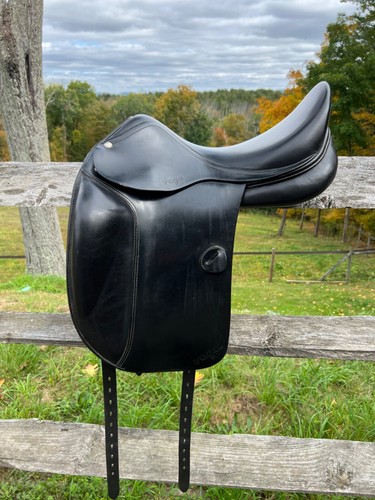 Amerigo vega dressage - 17",