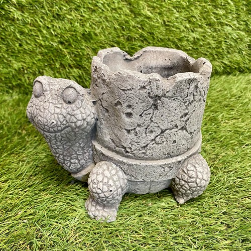 Concrete tortoise shell - concrete,