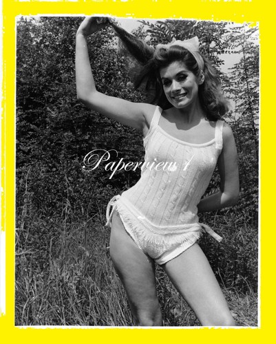 Real photograph 8x10 - 8x10, up