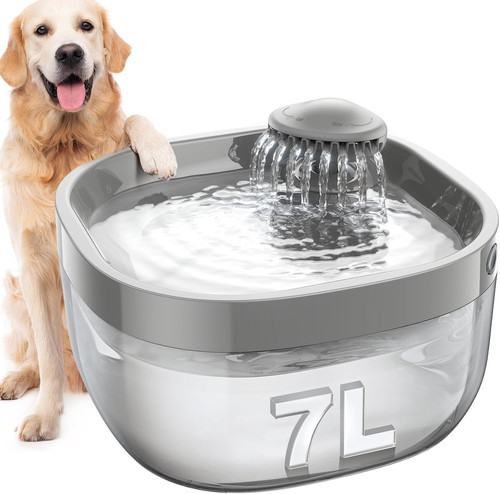 8gal dog water fountain - dog,
