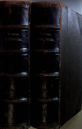 Panarium seu summa remediorum - panarium,