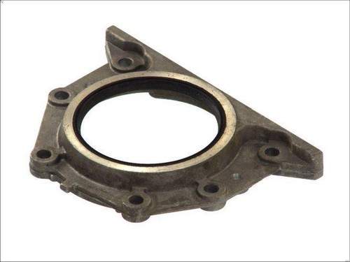 Shaft seal crankshaft reinz - shaft,