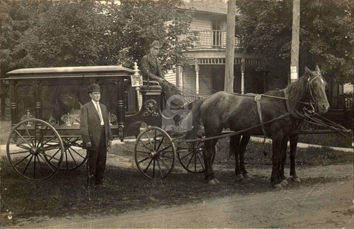 Horse drawn hearse - horse,