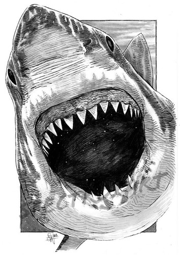 Jaws original art the great - original, "the