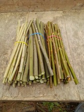 200 log/ biomass and hedging