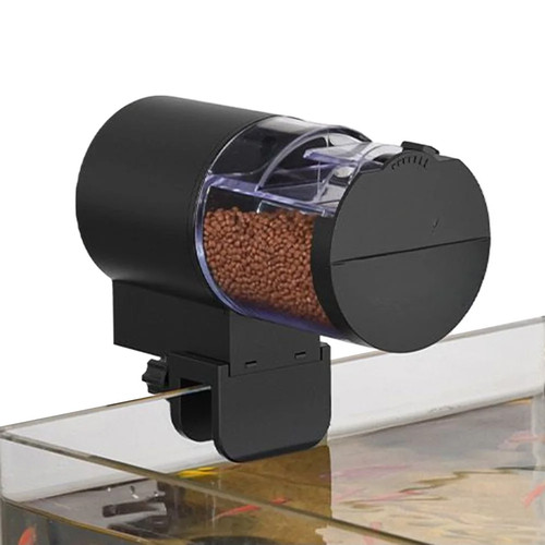 Automatic aquarium fish feeder - fish,
