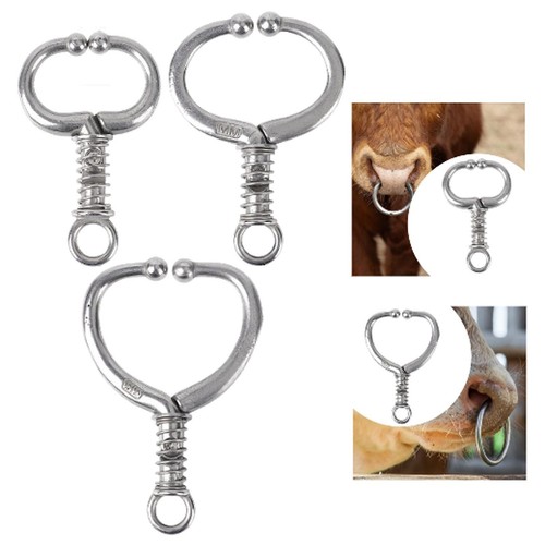 Cattle nose ring - cattle,