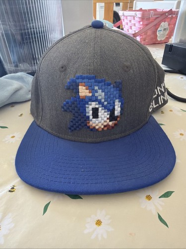 Sonic the hedgehog adult - the,