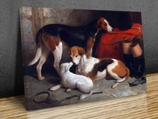 A Couple of Foxhounds with a