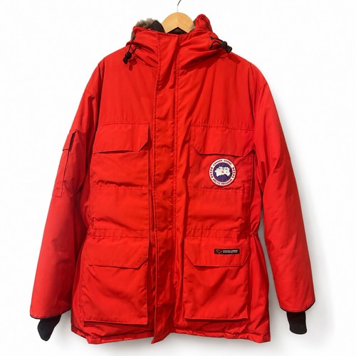 Canada goose expedition - goose,