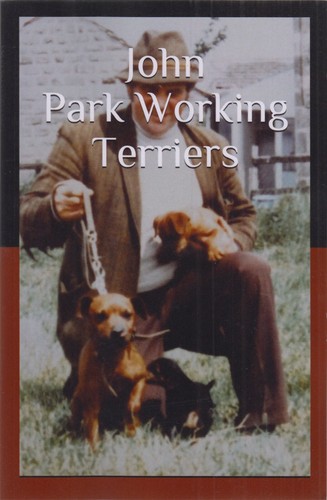 Frain sean terrier dog - sean,