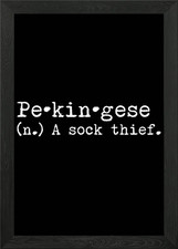 Pekingese A Sock Thief Framed