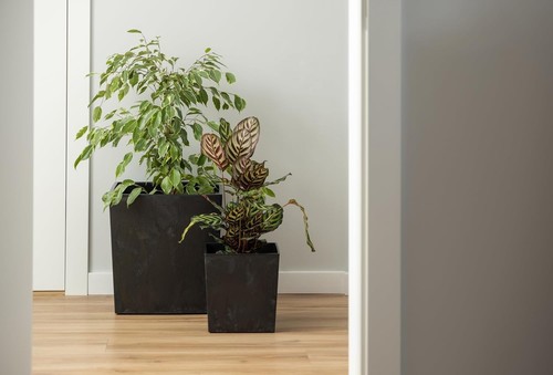 Square plant pot concrete - pot,