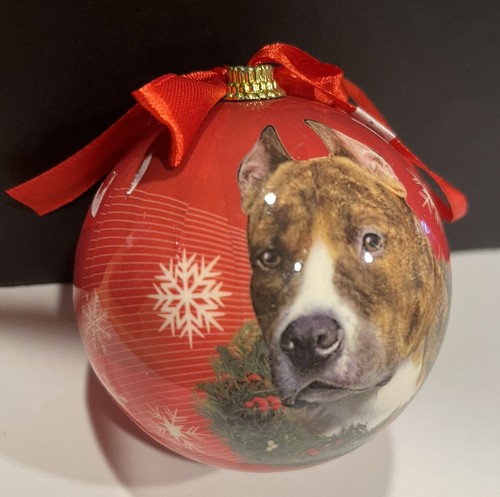 Pit bull terrier dog - pit,