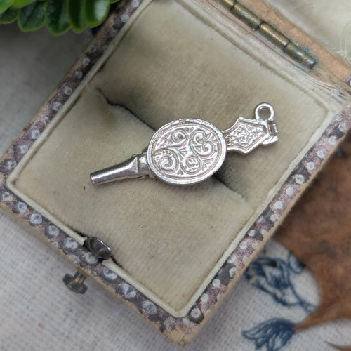 Vintage silver fire bellows - vintage,