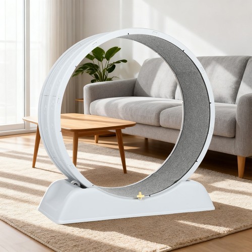 Cat exercise wheel - exercise,