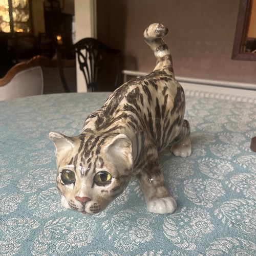 Large winstanley tabby - winstanley, cat