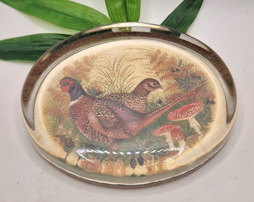Vintage 1979 pheasant glass - pheasant,