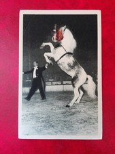 CPA animated - Circus Radio